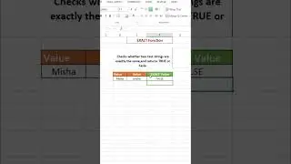 Master the Excel EXACT Function | Compare Text Strings Easily