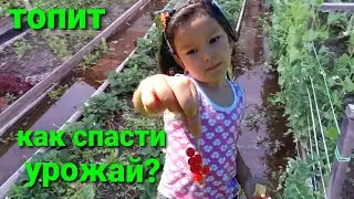 Наводнение? ВОДА ПОДНИМАЕТСЯ, РУКИ ОПУСКАЮТСЯ! Нас топит, какой будет урожай? ВМЕСТЕ С НАМИ.