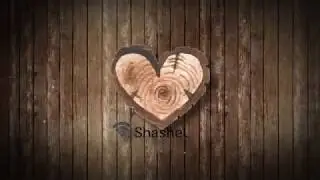 Microwave Shashel equipments. Catalogue