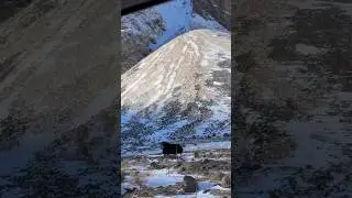 What does he think he's doing?