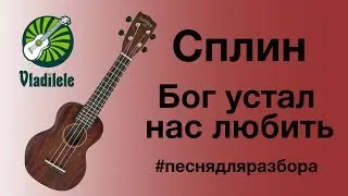 СПЛИН - БОГ УСТАЛ НАС ЛЮБИТЬ разбор на укулеле