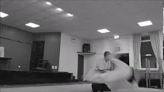Yoshin no Kata Inazuma Otoshi Nage (Slow Motion)