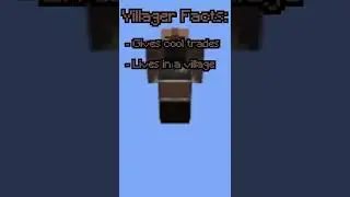 Minecraft Villager Facts!