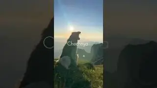 Мое имя - Чечня. 