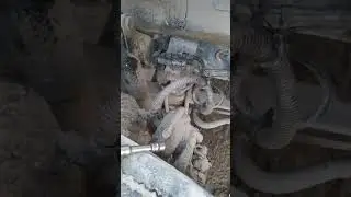 Замена помпы на маз 631285