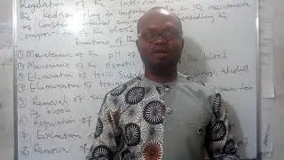 Kidney and it's functions,  internal body regulations