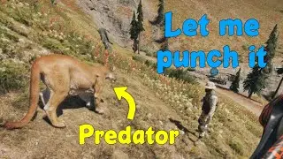 Will he SURVIVE this predator attack?