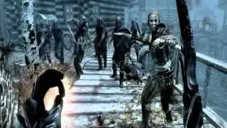 Elder Scrolls V: Skyrim  - Riften Clash