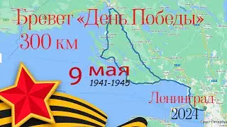 БРЕВЕТ ДЕНЬ ПОБЕДЫ 300 км / 09.05.2024 / Балтийская звезда