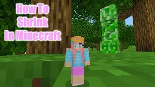 How to Shrink in Minecraft Java 1.20.5