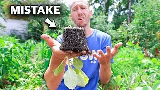 5 Deadly MISTAKES You Can’t Afford to Make When Planting a Fall Garden