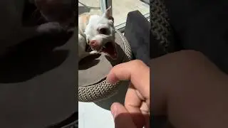 Niki bites my finger😂!!!!