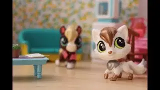 פט שופ- פעם אחת אחרונה -פרק 12