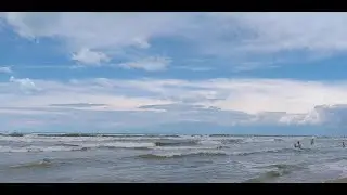 Медузы/ Дельфины/ Море /Это Анапа/