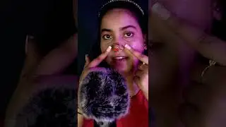 Focus on the kitty 😸 w/  ASMR