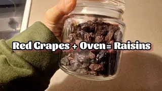 Grapes+Oven=Raisins
