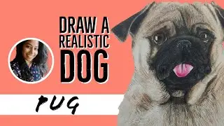 Draw a realistic dog | Pug | #7 of dog series | Sruthy Sk
