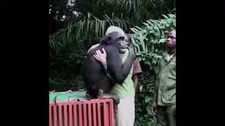 свобода