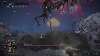 Stupid Ass Death Rite birds