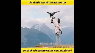 Cậu Bé nhặt được một con đại bàng sau đó đã huấn luyện nó thành vị vua của bầu trời