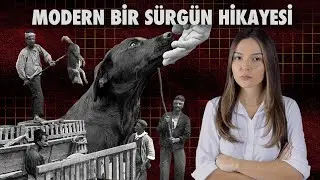 MODERN BİR SÜRGÜN HİKAYESİ !