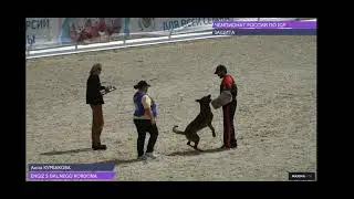 Чемпионат России Engiz-s-Dalnego-Kordona C92