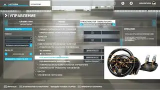 Microsoft Flight Simulator 2020 Настройки управления на руле Thrustmaster T300