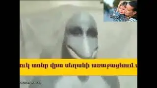 Jangan di Sebar ke Grup WA Keluarga😱😱