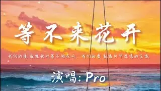 Pro-等不来花开『我们的爱 就像秋叶等不到花开，我们的爱 就像风中漂浮的尘埃。』🎵【动态歌词Lyrics video】#超好听 #music #lyrics #pinyin