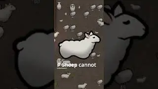 Rimworld SHEEP FACTS 