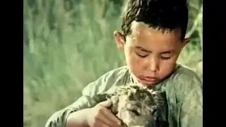 Lyuty (Kokserek) (Kazakhfilm, 1973)