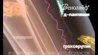 ВЕНОЛАЙФ