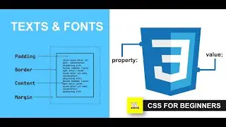 CSS Tutorial for beginners | TEXT & FONT