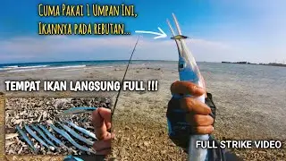 The Best Fishing Spot on Pramuka Island, Seribu Islands. Throw the Bait Anywhere and You'll Alway...