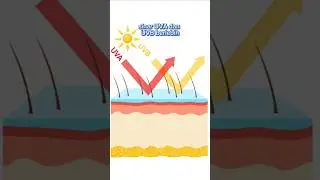 Malas Pakai "Sunscreen"? Ini Risikonya!