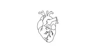 BEATING HEART OVERLAY AESTHETIC