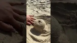 Чем заняться на море🏝️🤣