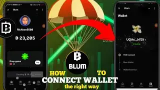 Right method to connect wallet to blum
