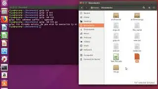 Linux command gzip.