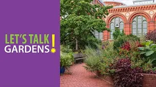 Choosing Plants with Design In Mind - Let's Talk Gardens