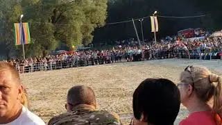 Александр Шломан Беловежская пуща