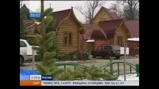 Старая елка пригодится в бане
