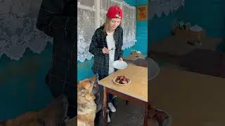 Кто украл мясо у хозяйки?!😡