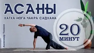 Практика асан с Александром Таишевым. Комплекс асан последовательность на 20 мин