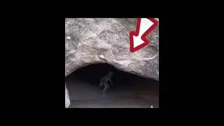 The guy took a photo of an alien