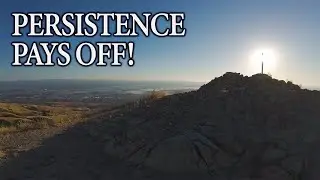 Persistence Pays Off! Never Give Up + Coyote Sighting