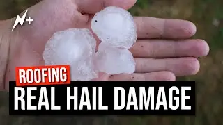 Real Hail Damage To Composition Shingles