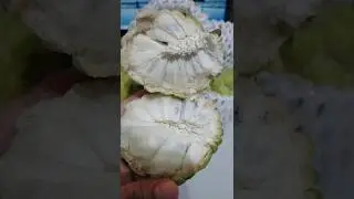 Must try sugar apple/custard apple! One of the most sweetest fruit in the world 