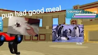 Hunder eats 5 meatballs loomian legacy pvp
