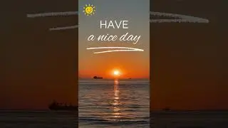 Orange Nature Have a Nice Day/Que tengas un buen día #shorts #sea #nature #mar  #beach